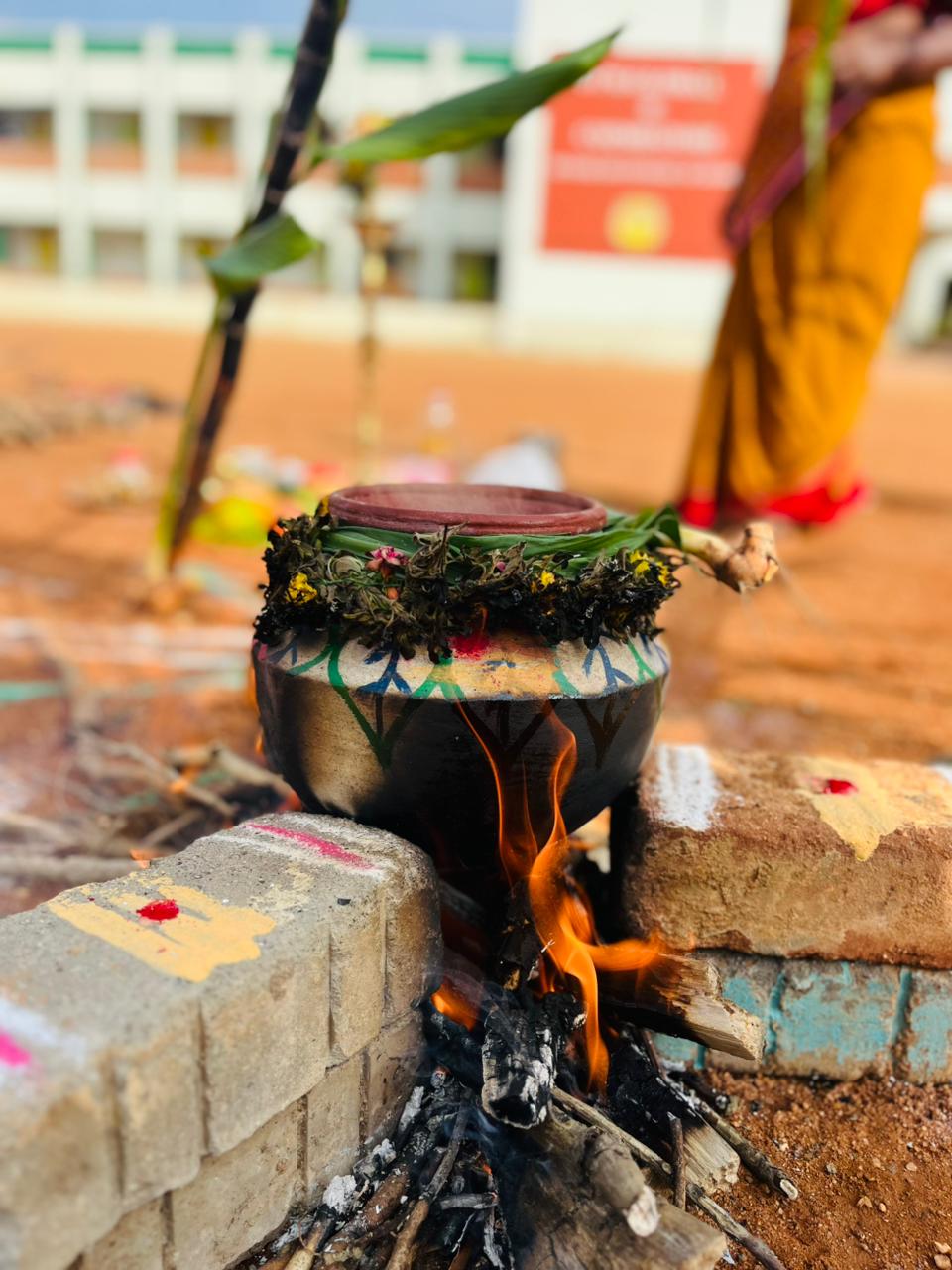 Pongal Celebrations 2025